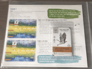 Wingspan: Swift-Start Promo Pack board game cover