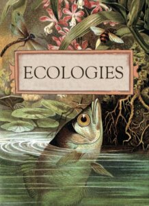 Ecologies board game cover
