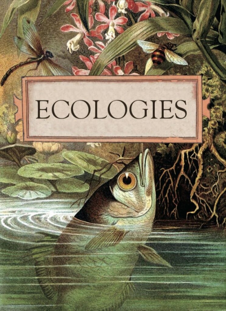 Ecologies board game cover