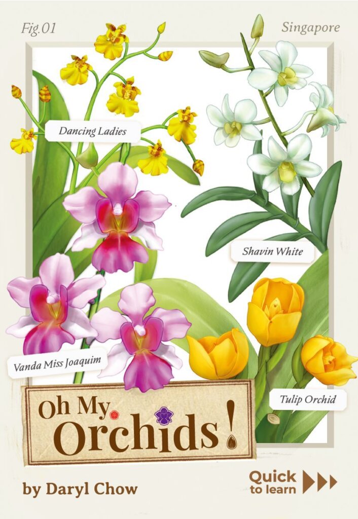 Oh My. Orchids! board game cover