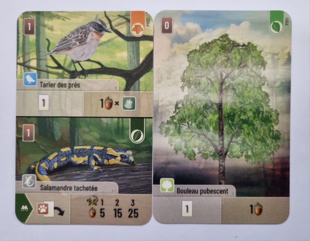 Forest Shuffle: Hobby Next Promo Cards board game cover