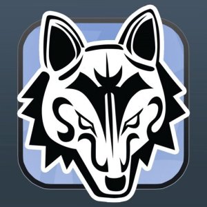 Dire Wolf Game Room board game cover