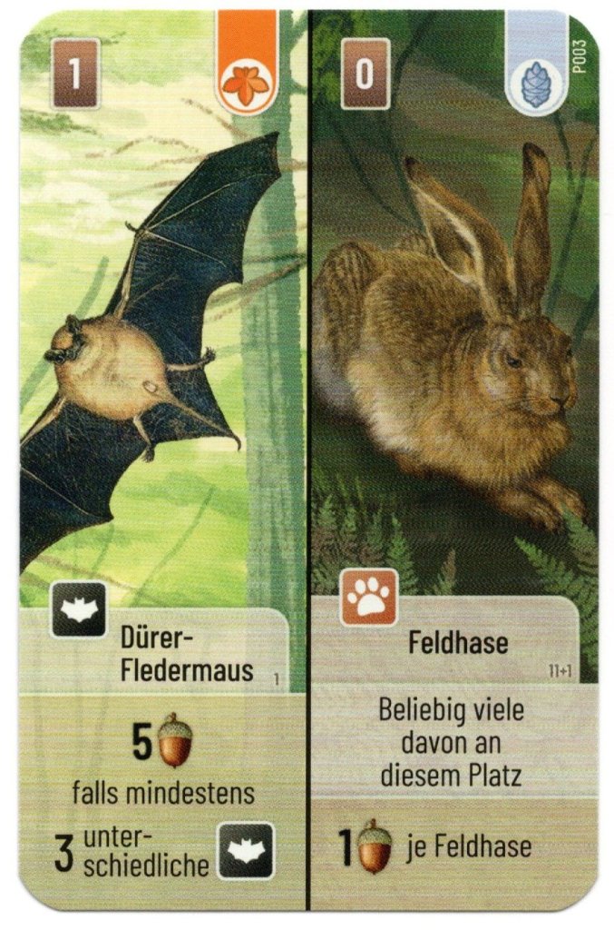 Mischwald: Dürer-Fledermaus / Feldhase Promokarte board game cover