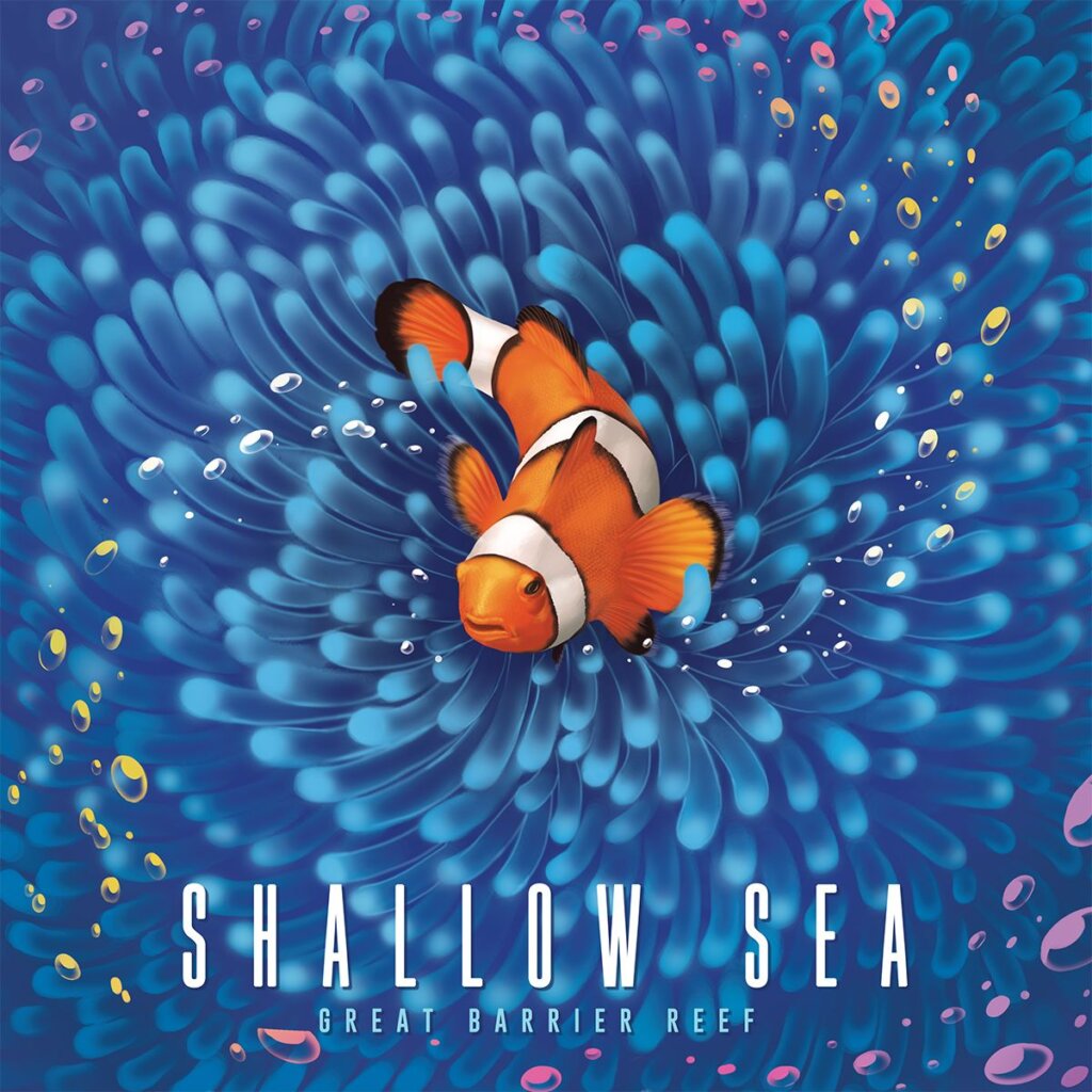 Shallow Sea board game cover