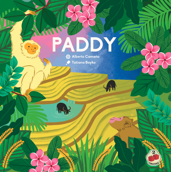 Paddy board game cover