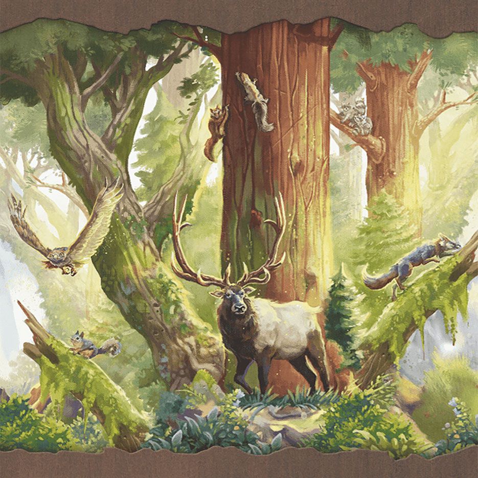 Redwood: Big Box board game cover