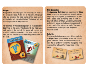 Ninja Camp: Badges and Activities board game cover