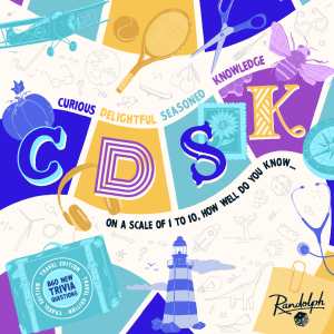 CDSK Travel board game cover